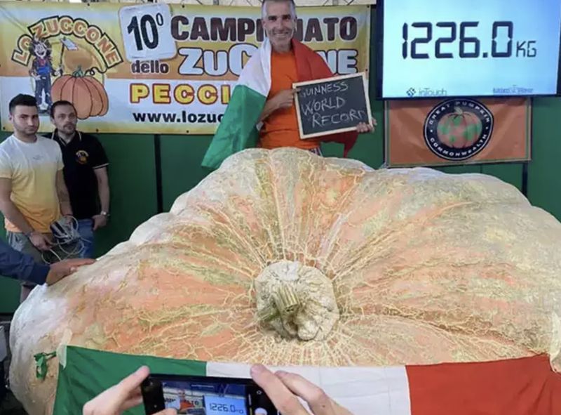 Wouw! 7 Rekor Makanan Jumbo Versi Guinness World Record Bikin Kaget