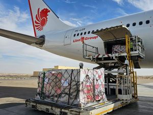 Bantuan Obat & Perlengkapan Medis RI buat Palestina Sudah Tiba di Mesir