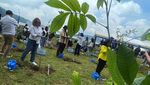 BCA Lakukan Penanaman 38.500 Pohon di Bali
