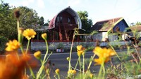 Setidaknya ada 10 homestay yang memiliki fasilitas 1 tempat tidur, kamar mandi, dan sarapan. Beberapa homestay juga sudah dilengkapi dengan AC.  
