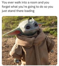 Sekarang ini banyak bertebaran meme 