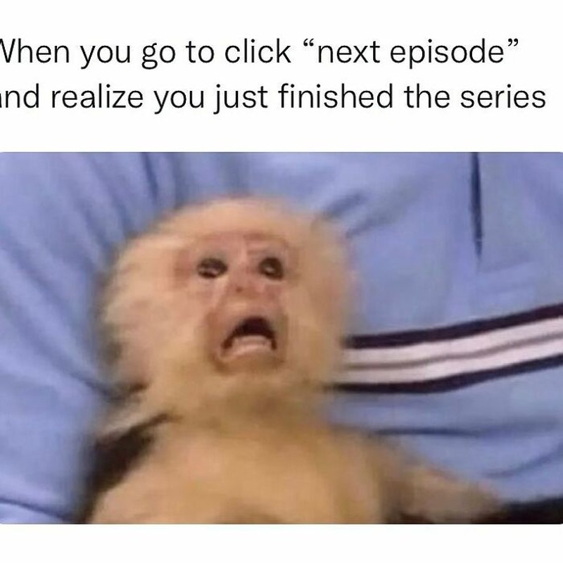 Sekarang ini banyak bertebaran meme 