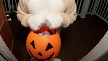 Steve Harvey trick or treat. Foto: Bored Panda
