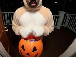 Deretan Foto Buatan AI yang Kocak dan Aneh