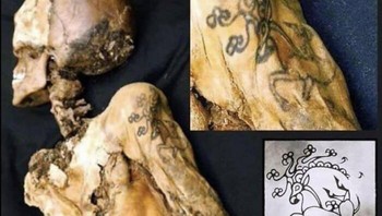 Siberian Ice Maiden, juga dikenal sebagai Putri Ukok, adalah mumi seorang wanita bertato dari abad ke-5 SM, Republik Alta, Rusia. Jenazah Putri Ukok yang meninggal pada usia 25 tahun ini memiliki beberapa tato di tubuhnya, antara lain tato rusa berparuh griffon dan tanduk Capricorn. Tato tersebut telah terpelihara dengan sempurna selama 2.500 tahun Foto: Boredpanda