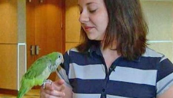 Pada tahun 2008, seekor burung beo Quaker bernama Willie memberi tahu pemiliknya, Megan Howard, bahwa balita yang ia asuh mulai tersedak saat sarapan. Ketika wajah Hannah yang berusia 2 tahun mulai membiru, burung itu berkicau keras untuk menarik perhatian Megan. Lalu dia mulai mengucapkan Mama sayang berulang kali. Megan bergegas menemui Hannah dan melakukan manuver Heimlich, yang akhirnya menyelamatkan nyawanya. Megan kemudian mengungkapkan bahwa jika Willie tidak memperingatkannya, dia mungkin tidak akan keluar dari kamar mandi tepat waktu, karena warna kulit anak itu sudah membiru. Karena menyelamatkan nyawa anak tersebut, Willie dianugerahi Penghargaan Penyelamat Hewan cabang Palang Merah setempat. Foto: Boredpanda