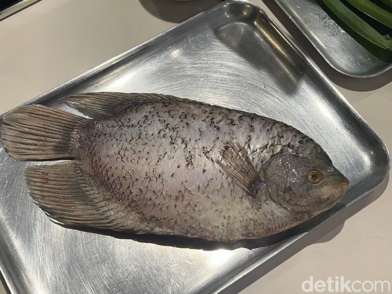 Ikan Sumber Protein Berkualitas, Tak Kalah dari Daging Sapi