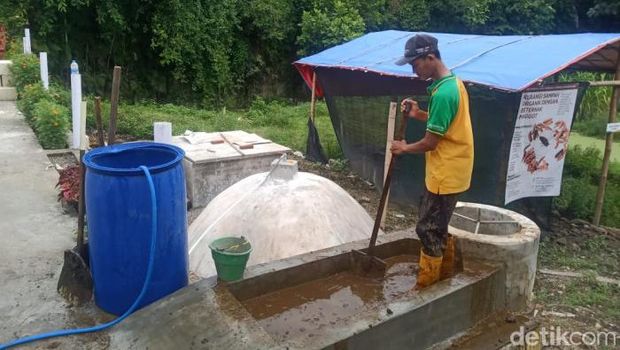 Kegiatan Kelompok Tani Ternak Sumber Rejeki Lamongan