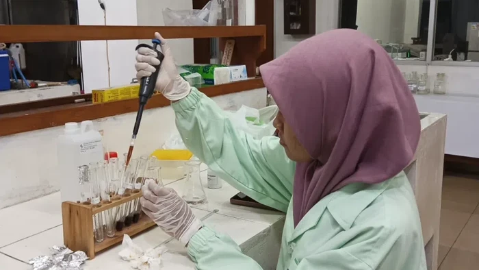 Mahasiswa UGM lakukan penelitian tentang obat antikanker kolon dari buah nanas