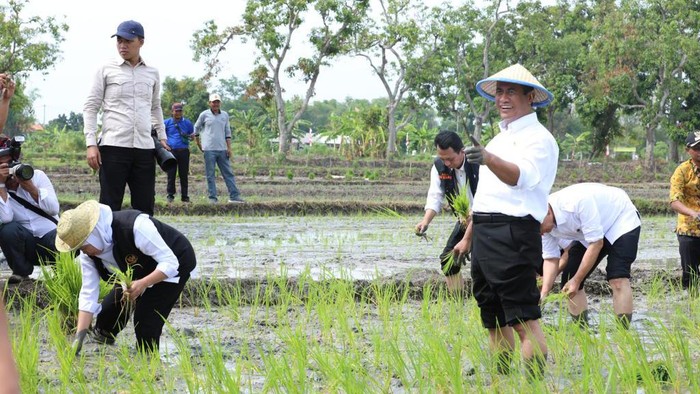 Menteri Pertanian (Mentan) Andi Amran Sulaiman