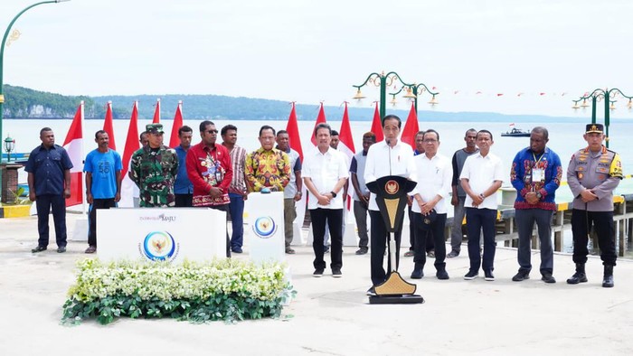 Panglima TNI Dampingi Jokowi di Puncak Sail Teluk Cenderawasih 2023 Panglima TNI Dampingi Jokowi di Puncak Sail Teluk Cenderawasih 2023