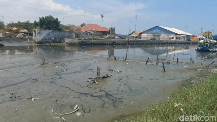 Pendangkalan muara Kali Bacin Tegal membuat nelyan tak bisa melaut, Kamis (23/11/2023).