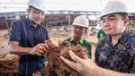Potret Pembangunan PLTBm di Bangka Belitung