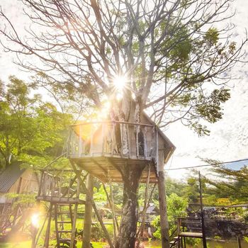 Rumah pohon di Teluk Sirih Resort. (instagram.com/glampingteluksirih)