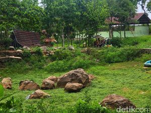 Wisata Air Situ Kubang Terbengkalai, Yang Tersisa Mitos Ular Kobra Hitam
