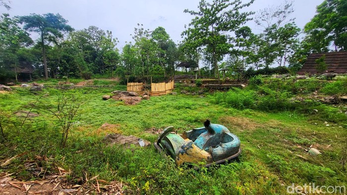 Situ Kubang Sukabumi.