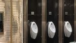 Begini Potret Toilet Umum Paling Cantik di Dunia