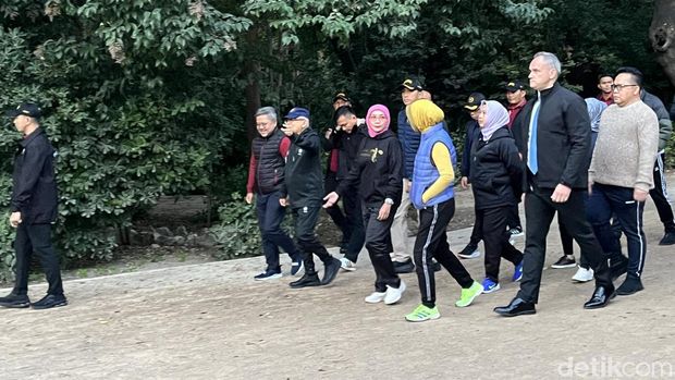 Wapres Ma'ruf Amin jalan kaki menyusuri Athens National Garden. (Kanavino/detikcom)