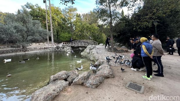 Wapres Ma'ruf Amin jalan kaki menyusuri Athens National Garden. (Kanavino/detikcom)