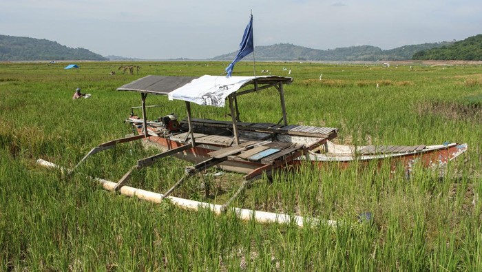 Warga Manfaatkan Waduk Bili-bili yang Mengering Jadi Area Persawahan Foto udara area genangan Waduk Bili-Bili yang mengering akibat kemarau di Kabupaten Gowa, Sulawesi Selatan, Kamis (23/11/2023). Warga setempat memanfaatkan area genangan waduk yang mengering untuk menanam padi, jangung, dan sayuran serta sebagian lainnya menjadi lahan menggembala ternak. ANTARA FOTO/Arnas Padda/Spt.