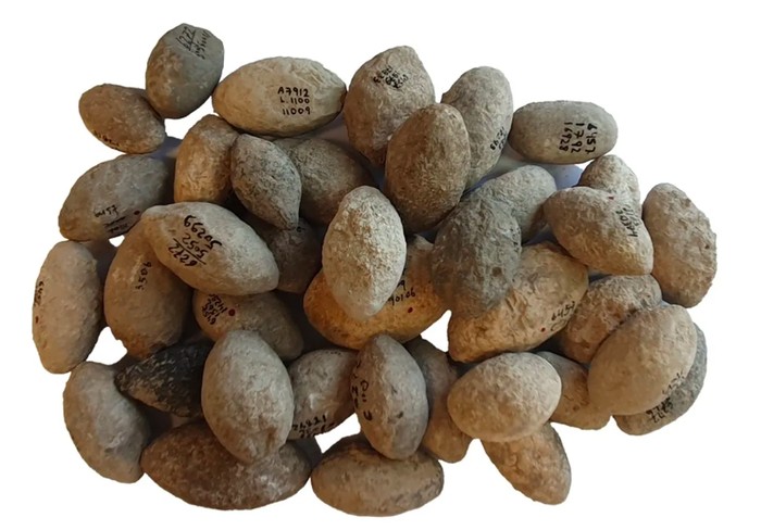 Batu senjata