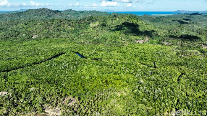 BRI Ajak Warga Desa Palaes Budi Daya Alpukat Desa Palaes, Kabupaten Minahasa Utara, Sulawesi Utara, memiliki tanah yang subur untuk bercocok tanam. Karena itu, lewat program BRI Menanam, warga Palaes diajak untuk budi daya alpukat.
