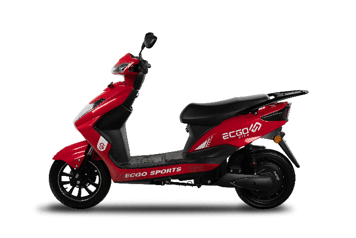 Ecgo 3