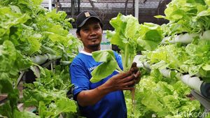 Kampung Berseri Astra Ciptakan UMKM Keren