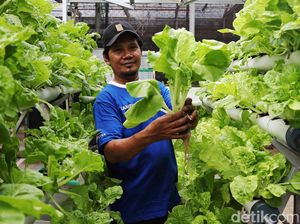 Kampung Berseri Astra Ciptakan UMKM Keren