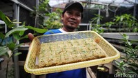 Diharapkan KBA Pekayon dan kampung-kampung lain tetap konsisten dalam memajukan wilayahnya melalui program yang digelar oleh Astra.  