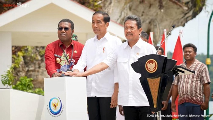 Kegiatan Presiden Jokowi di Papua