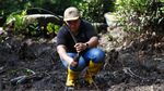 Lestarikan Mangrove, Upaya Desa Palaes Jaga Warisan Leluhur