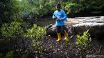 Lestarikan Mangrove, Upaya Desa Palaes Jaga Warisan Leluhur