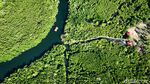 Lestarikan Mangrove, Upaya Desa Palaes Jaga Warisan Leluhur