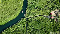 Desa Palaes yang terletak di Kabupaten Minahasa Utara, Provinsi Sulawesi Utara ini berada di wilayah pesisir dan memiliki hutan bakau (Rhizopora sp) seluas 35 hektare.