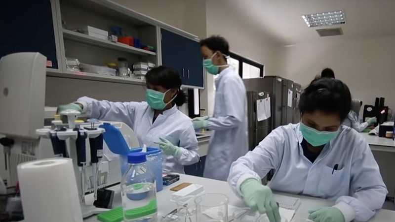 Melihat Bill Gates Digigit Hewan Berbahaya di Yogyakarta