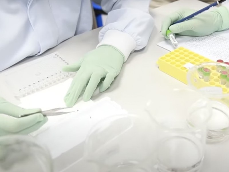 Melihat Bill Gates Digigit Hewan Berbahaya di Yogyakarta