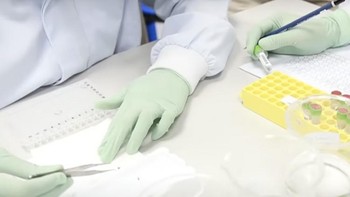 Nyamuk yang diberikan bakteri Wolbachia akan kehilangan kemampuan mereka menularkan penyakit seperti demam berdarah, zika dan chikungunya. Foto: Blog Bill Gates  