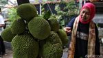 Melihat Kebun Buah Kampung Berseri Astra di Pekayon Bekasi