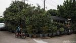 Melihat Kebun Buah Kampung Berseri Astra di Pekayon Bekasi