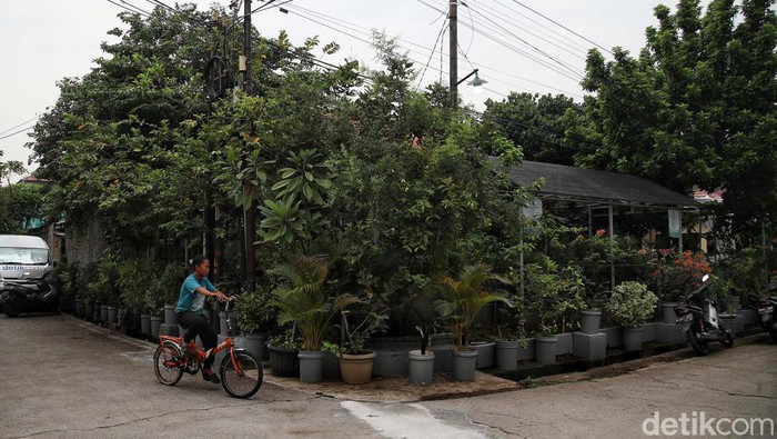 Melihat Kebun Buah Kampung Berseri Astra di Pekayon Bekasi PT Astra International Tbk lewat program Kampung Berseri Astra menyulap lahan yang tidak begitu luas menjadi kebun buah. Kebun itu berada di Pekayon, Bekasi.