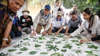 Para perajin memberikan pendampingan kepada rombongan wartawan dan blogger yang datang dan ingin mempelajari proses membuat batik ecoprint di Kampung Berseri Astra (KBA) Pekayon, Bekasi.  