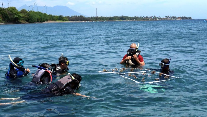 Nelayan memasang bibit terumbu karang pada media tanam di Pantai Bangsring, Banyuwangi, Jawa Timur, Jumat (24/11/2023). Tranplantasi terumbu karang yang dilakukan kelompok nelayan sejak tahun 2008 untuk mengembalikan biota bawah laut yang dahulu rusak akibat penangkapan ikan menggunakan bom itu, saat ini menjadi zona konservasi seluas 15 hektar yang menarik minat wisatawan turut serta peduli menjaga ekosistem bawah laut. ANTARA FOTO/Budi Candra Setya/rwa.