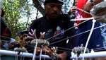 Melihat Transplantasi Terumbu Karang, Seperti Apa?