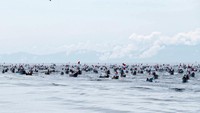 Sailing pass yang diikuti oleh TNI dan nelayan juga menyemarakkan pembukaan Sail Teluk Cenderawasih 2023.  