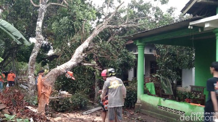 Dampak hujan angin di Kabupaten Sleman, Jumat (24/11/2023)
