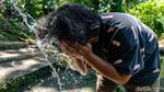 Segarnya Mata Air Desa Palaes, Bisa Langsung Diminum Lho