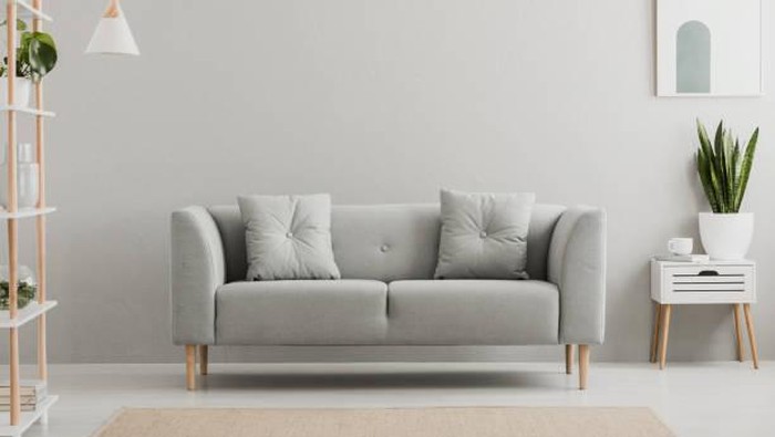 Sofa 2 seater/Getty Images/iStockphoto/KatarzynaBialasiewicz