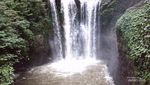 Berbagai Destinasi Menarik di Taman Hutan Raya Bandung