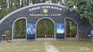 Berbagai Destinasi Menarik di Taman Hutan Raya Bandung